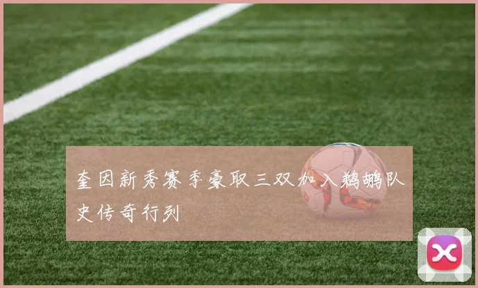 奎因新秀赛季豪取三双加入鹈鹕队史传奇行列
