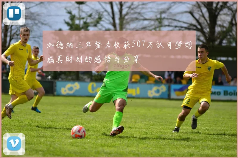 加德纳三年努力收获507万认可梦想成真时刻的感悟与分享