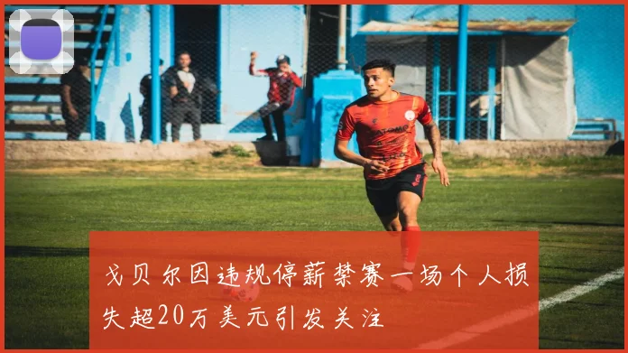 戈贝尔因违规停薪禁赛一场个人损失超20万美元引发关注