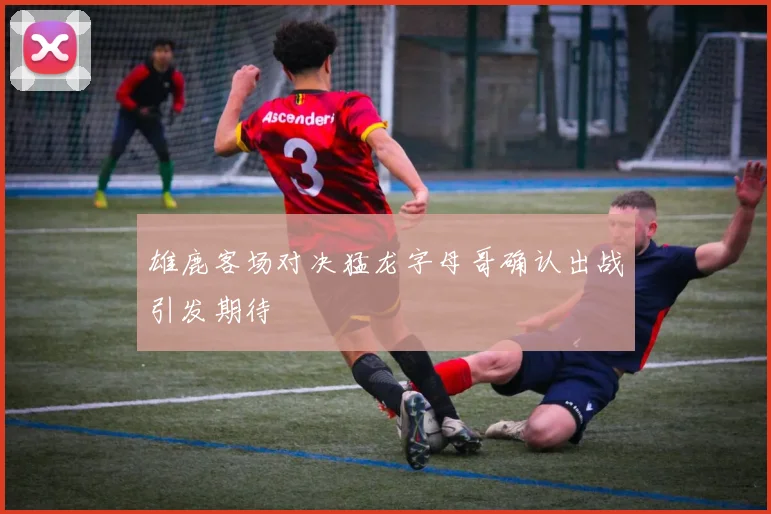 雄鹿客场对决猛龙字母哥确认出战引发期待