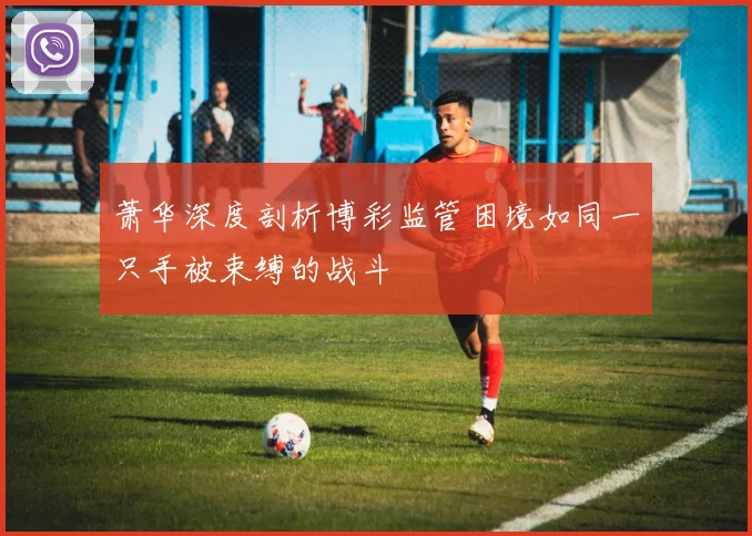 萧华深度剖析博彩监管困境如同一只手被束缚的战斗