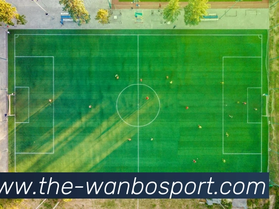 万博体育服务体系